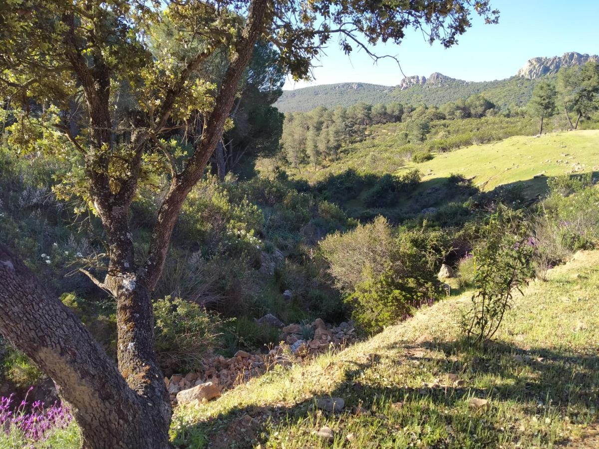 La Romera Villanueva del Duque Εξωτερικό φωτογραφία