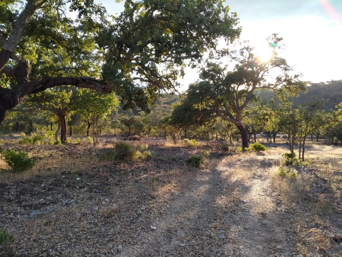 La Romera Villanueva del Duque Εξωτερικό φωτογραφία